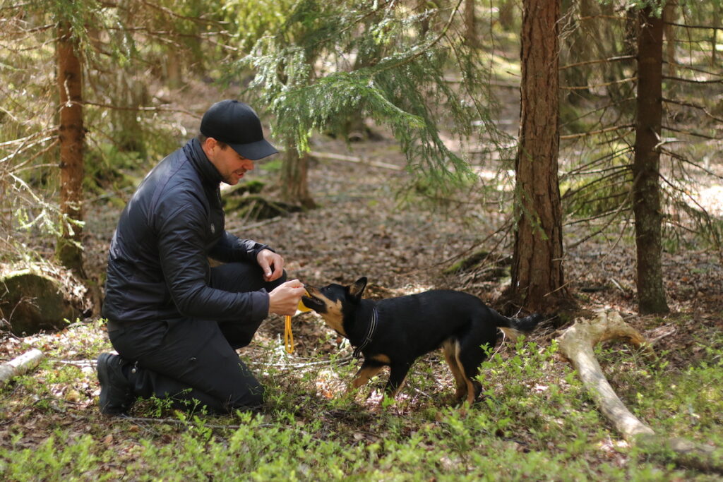 Den viktiga leken tillsammans med din hund