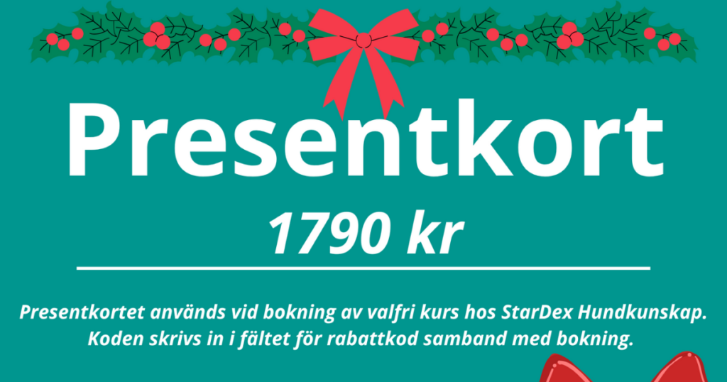 Presentkort jul